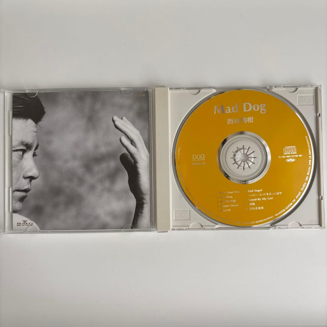西城秀樹 MAD DOG