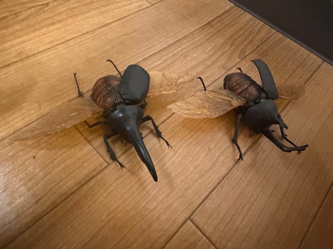 生き物大図鑑 29体セット
