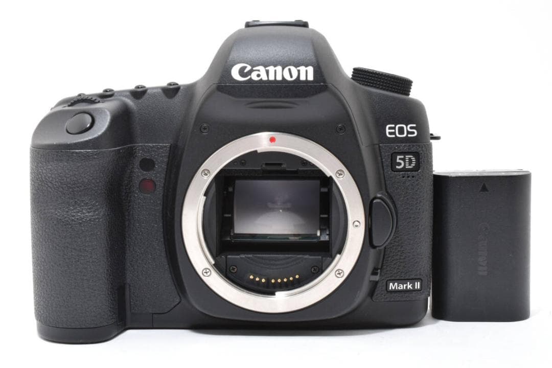 《ショット数4,899回 》 Canon EOS 5D MARK II #785