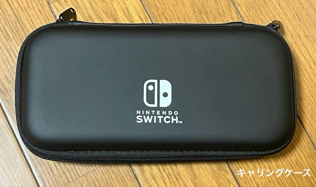 Nintendo Switch Lite ターコイズ 本体 +ケース、カバー
