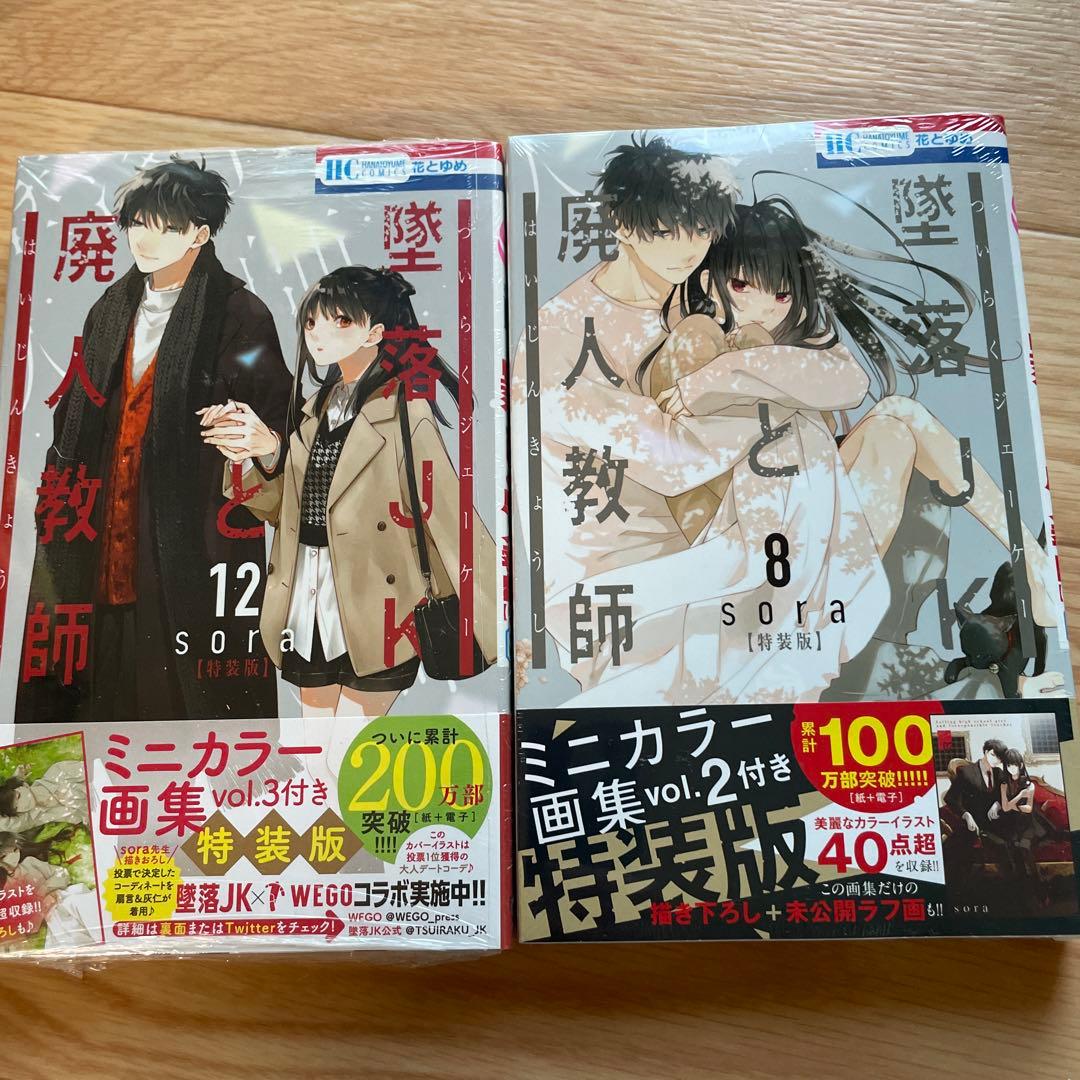 墜落JKと廃人教師  先見少年シンドローム