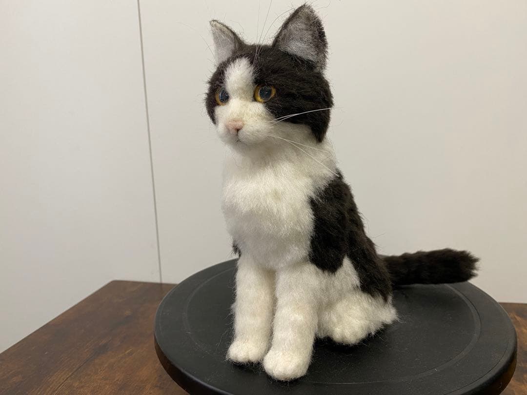 Aru Sohdaroh☆白黒ハチワレちゃんのお座り姿