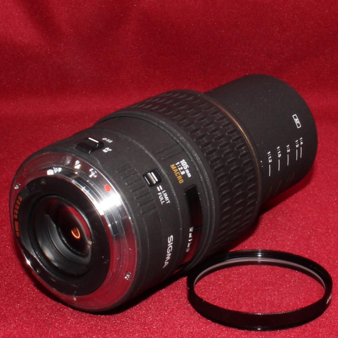 ✨訳あり特価品✨❤️SIGMA EX 105mm F2.8 MACRO❤️