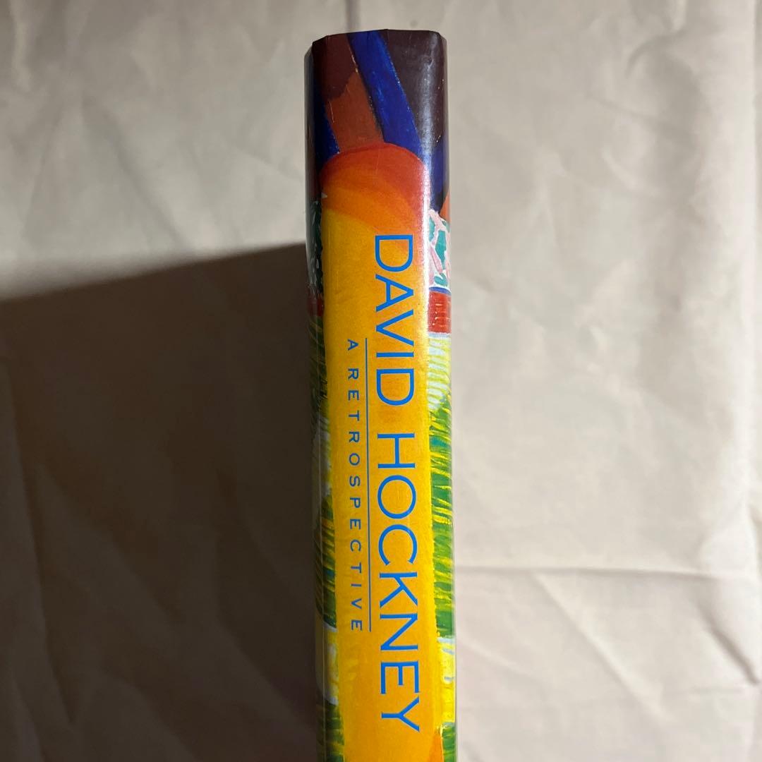 ⭐︎希少美品⭐︎ デイヴィッド・ホックニー David Hockney アート本
