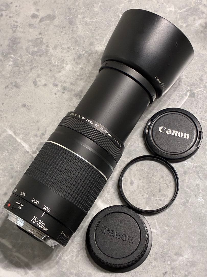 ⭐️美品⭐️Canon EF 75-300mm F4-5.6 III レンズフード付