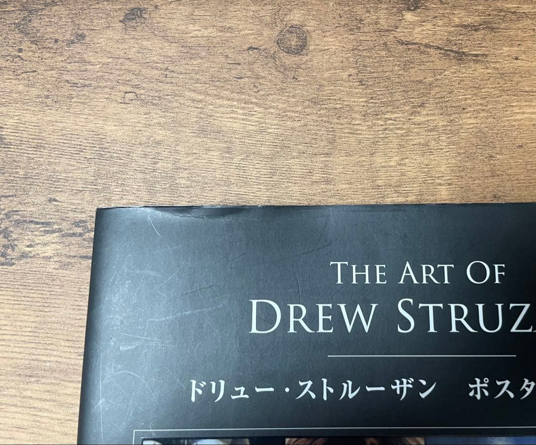 【希少】 ドリュー・ストルーザン ポスターアート集