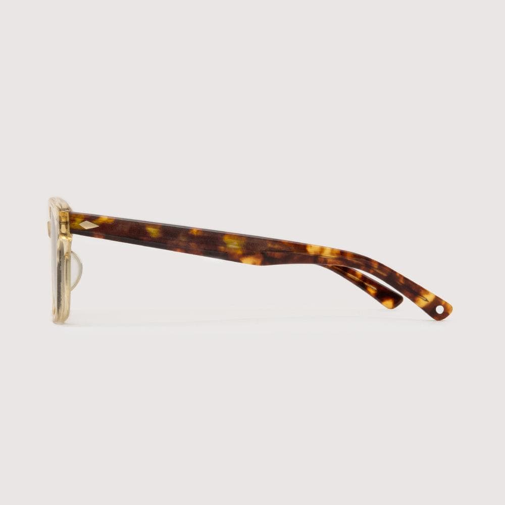 新品NOCHINO OPTICAL SANSUI #5 CITRON AMBER