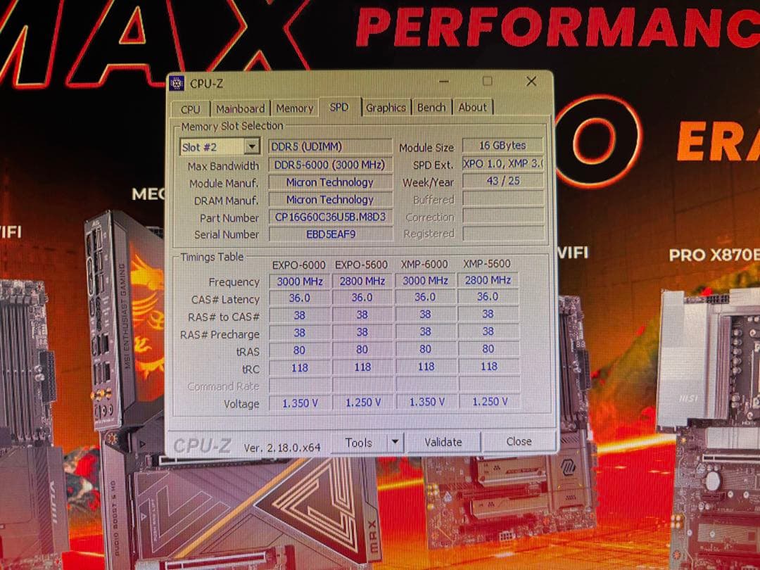Crucial DDR5 Pro 32GB メモリ DDR5-6000