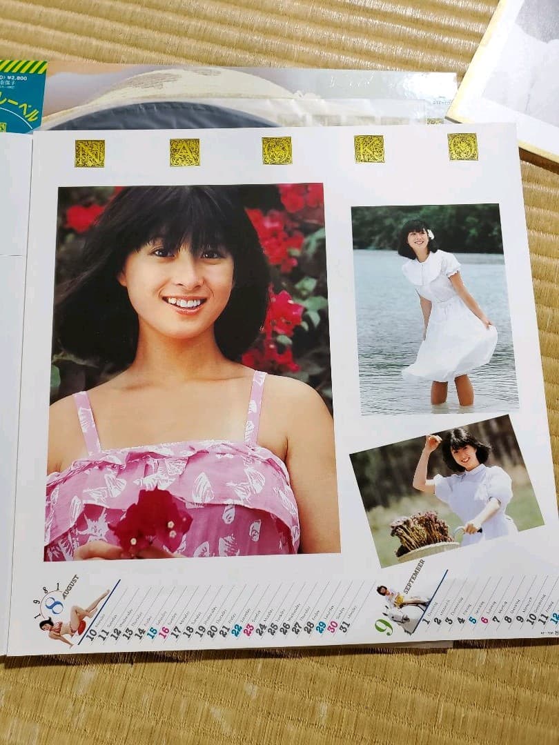 河合奈保子さん　LPレコード　2枚セット　サマーヒロイン&ダイアリー　希少品です