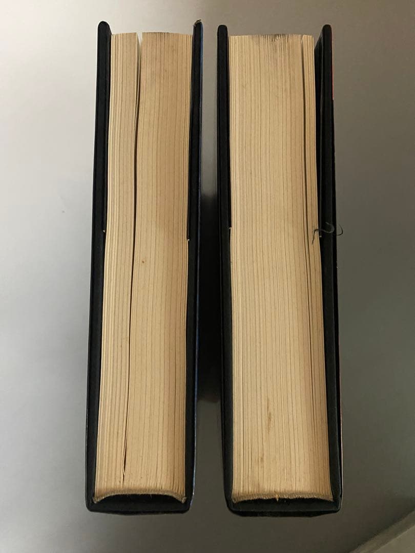 ビュッフェ　画集2冊組