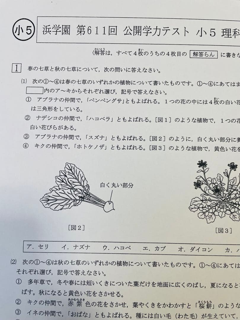 2023年、2024年度 浜学園 小5 公開学力テスト 2年分 4科目