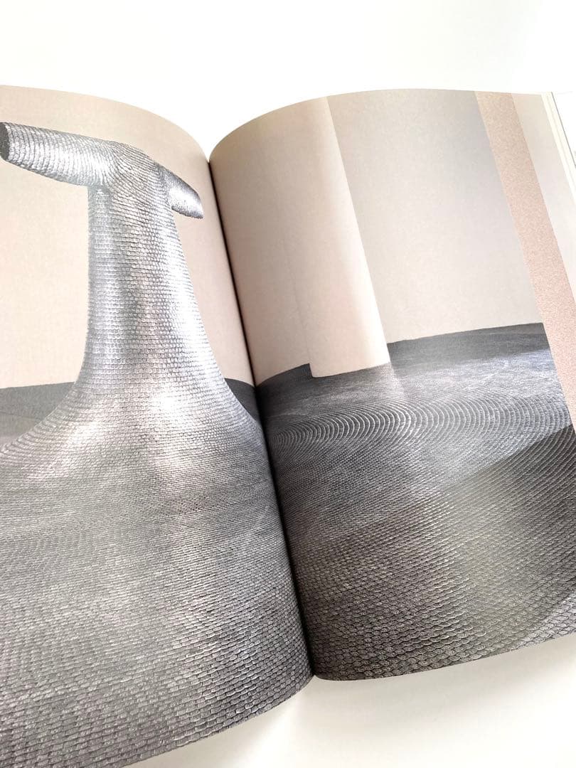 図録　Do Ho Suh「in between　あいだに」　広島市現代美術館
