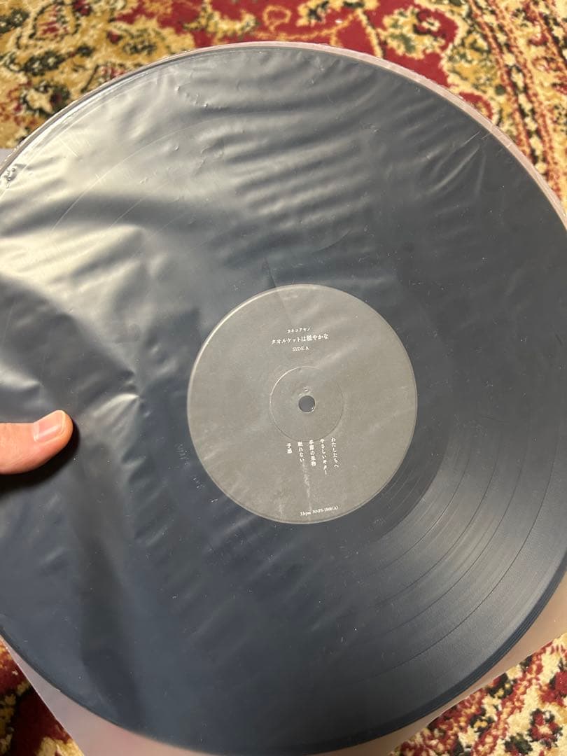 カネコアヤノ　タオルケットは穏やかな　LP