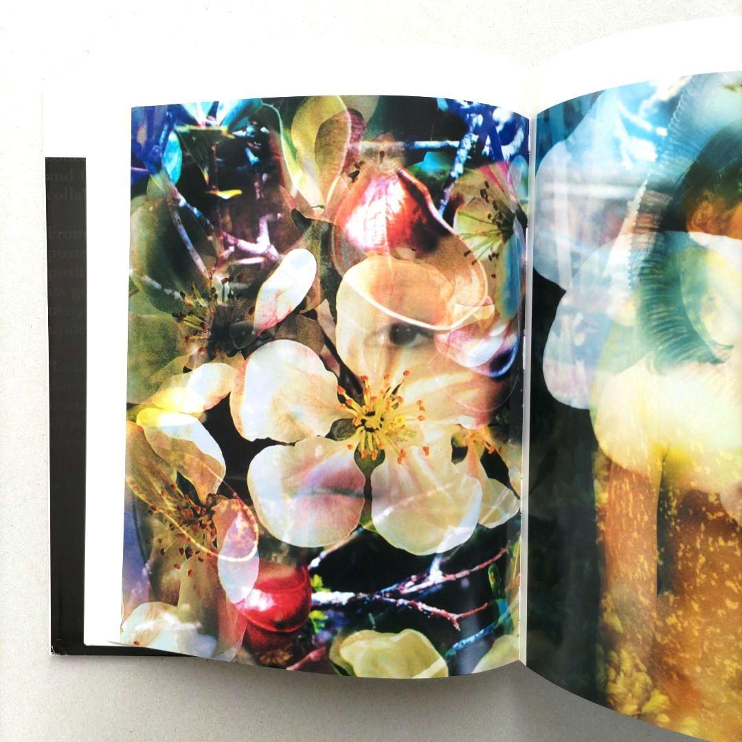 Dazed/Confused 写真集 作品集 洋書