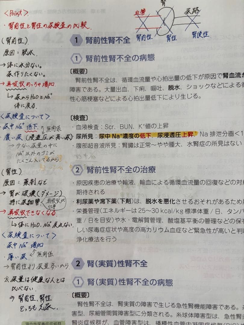 第111回 青本 全巻 薬剤師国家試験｜薬学ゼミナール講義メモあり