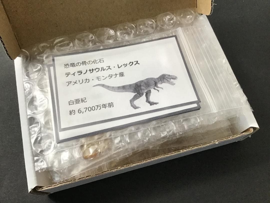 化石 4種 [ZE38] トリケラトプス ティラノサウルス 琥珀 モササウルス