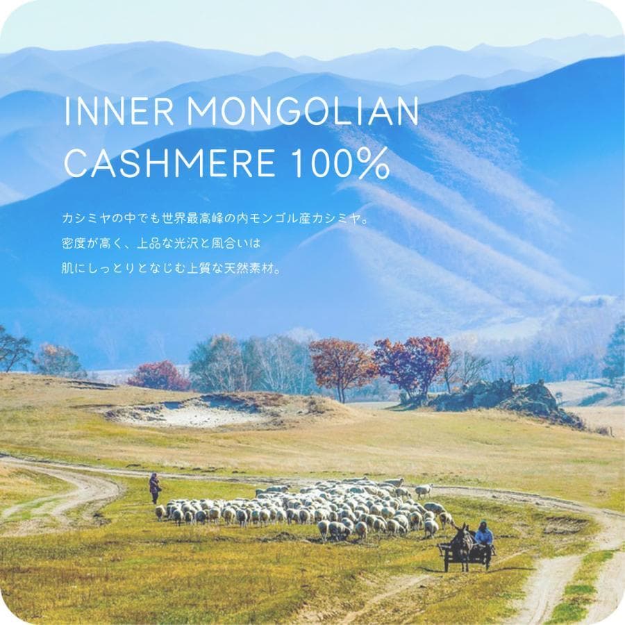【ふぁぼりさま専用】新品★カシミヤ100%★中判ストールマフラー 35x200