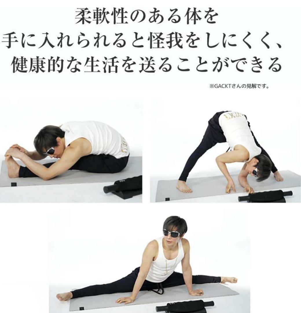 エクストラリリース GACKTプロデュース ストレッチ 筋トレ 筋膜リリース