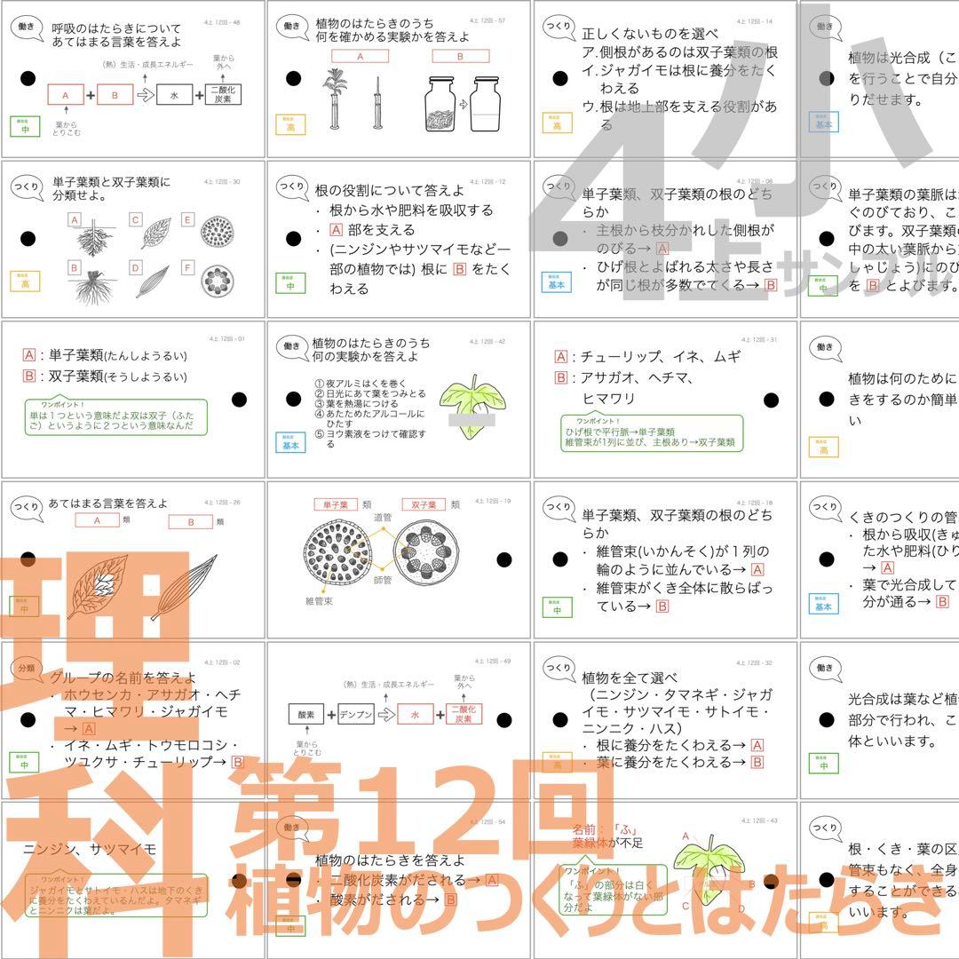 中学受験 暗記カード【4年上ハーフセット 理科11-19回】組分け対策 予シリ