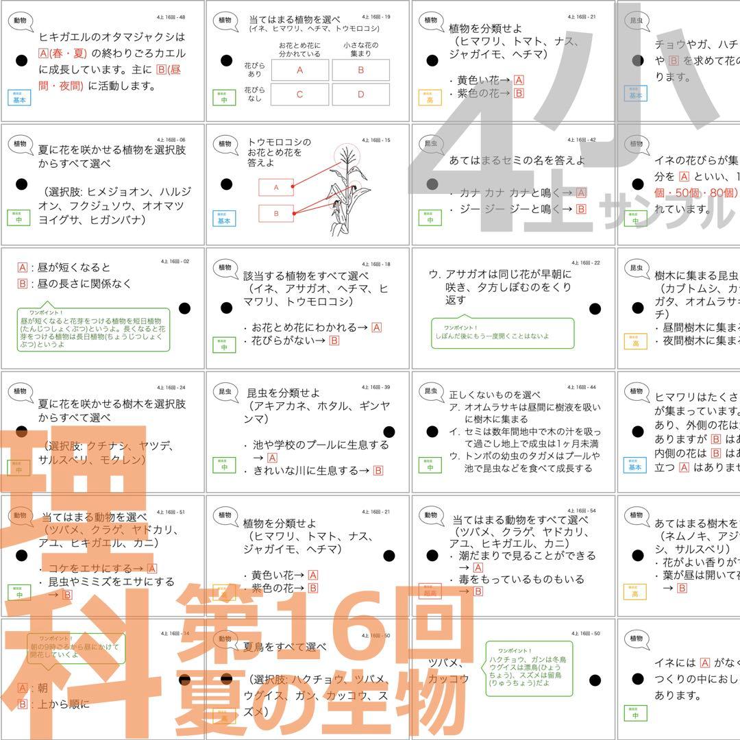 中学受験 暗記カード【4年上ハーフセット 理科11-19回】組分け対策 予シリ