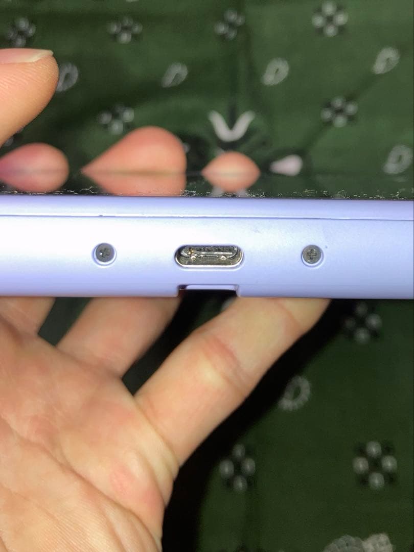 い*ご様 ジャンク品Nintendo Switch Light ソフト付き 充電