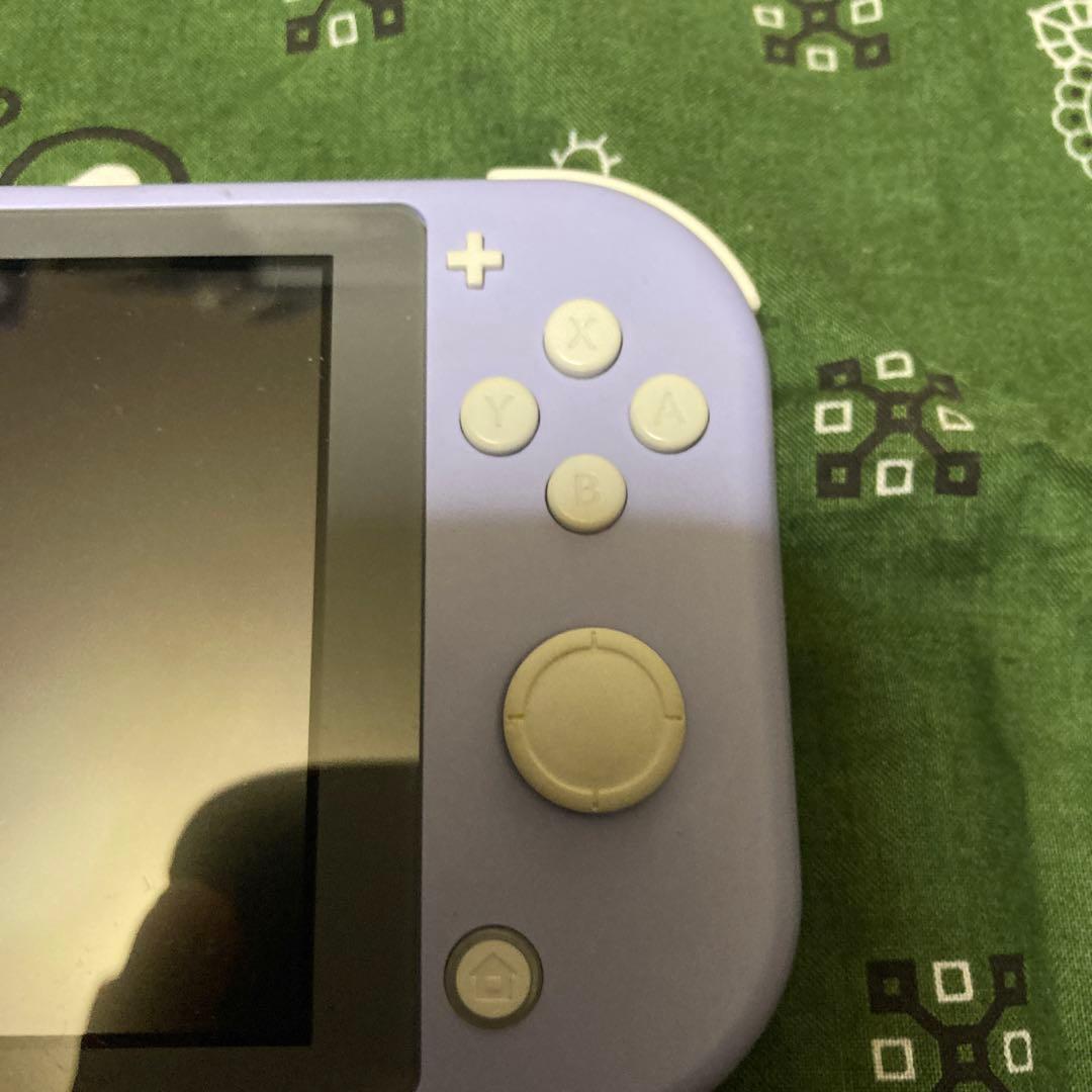 い*ご様 ジャンク品Nintendo Switch Light ソフト付き 充電