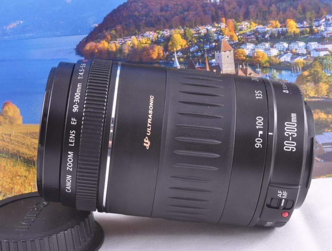 Canon EF 90-300mm USM フード付キヤノン 望遠ズーム 整備済