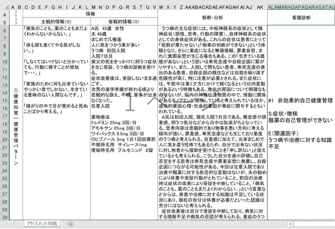 専用 看護学生 看護計画 看護実習 手順書 関連図 計画 看護過程 国家試験