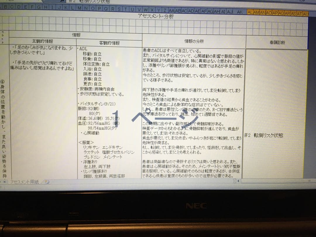 専用 看護学生 看護計画 看護実習 手順書 関連図 計画 看護過程 国家試験