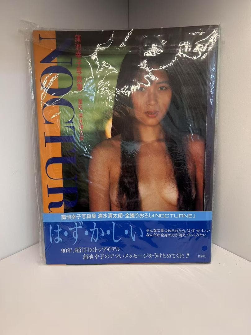 蒲池幸子 NOCTURNE ZARD 坂井泉水