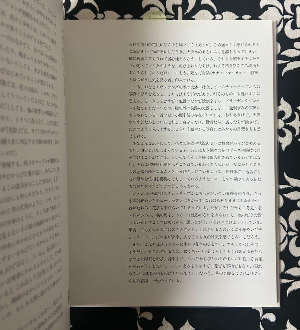 荒木経惟 (Araki Nobuyoshi)花陰 1996, レア