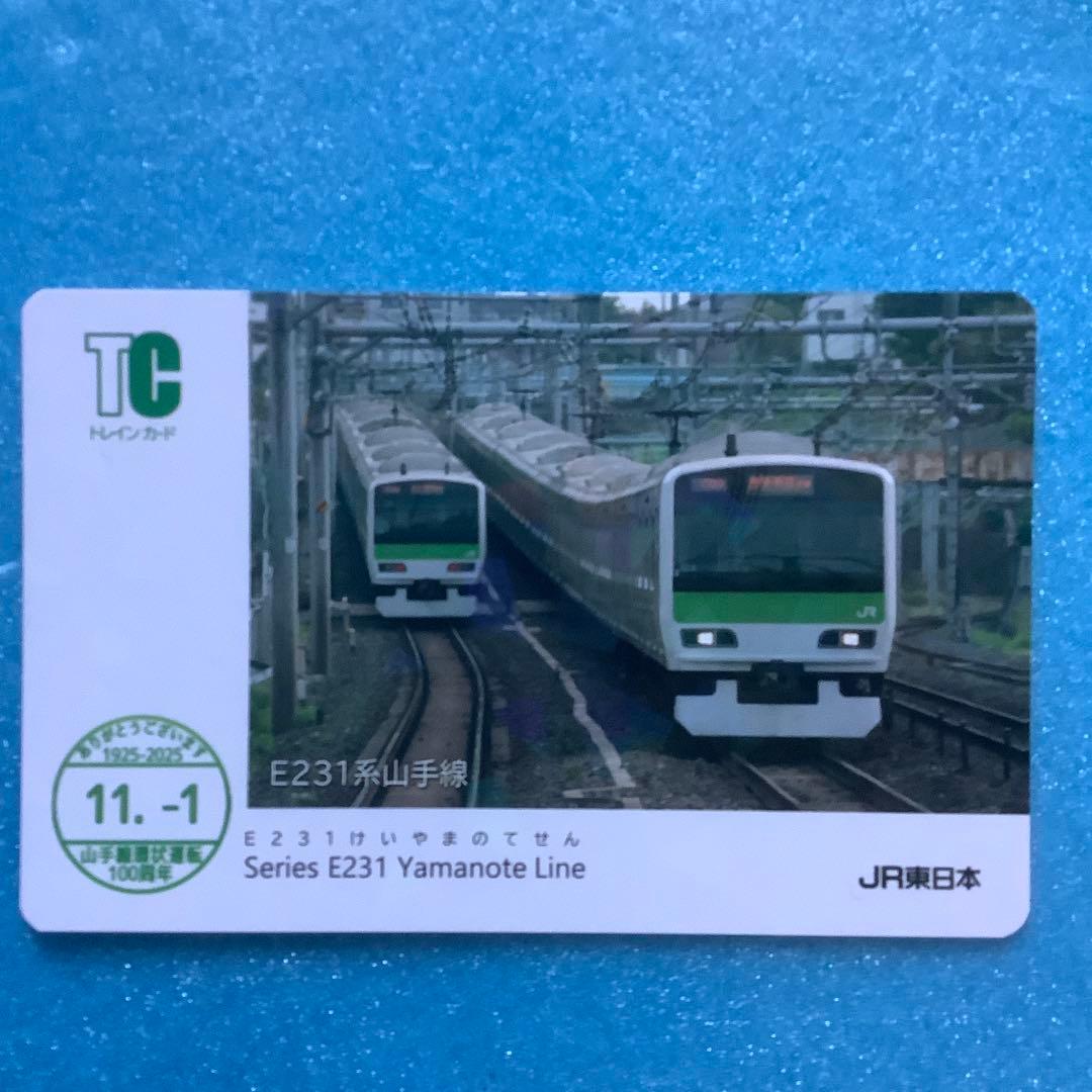 【14枚フルコンプリート】山手線 環状運転100周年記念電車カード