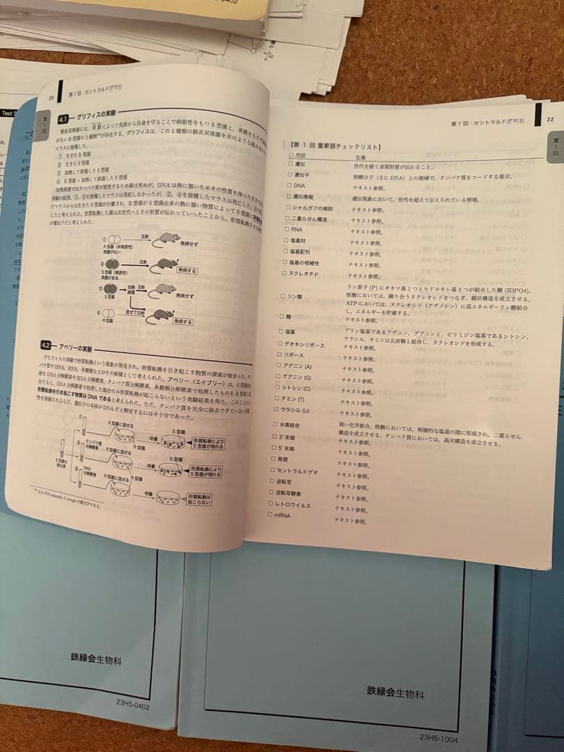 鉄緑会高二生物一式