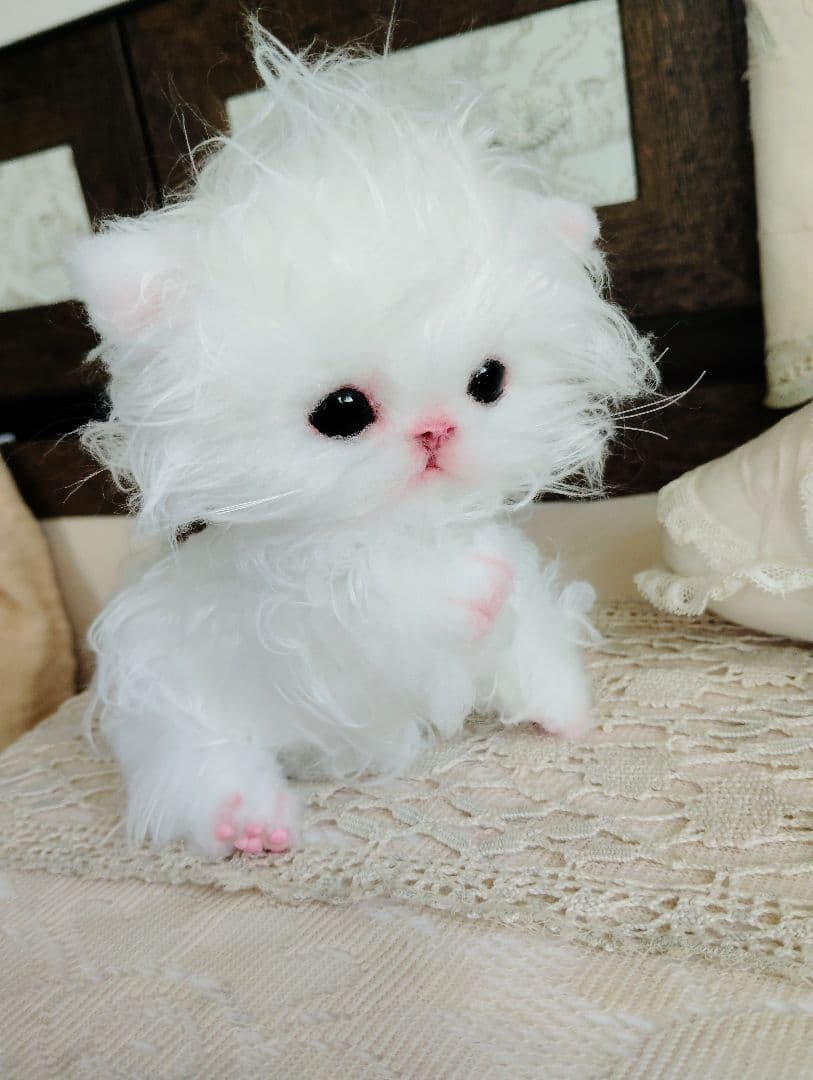 セルカークレックス子猫♡よちよち期♡癖っ毛のララちゃん♡アートドール♡ぬいぐるみ