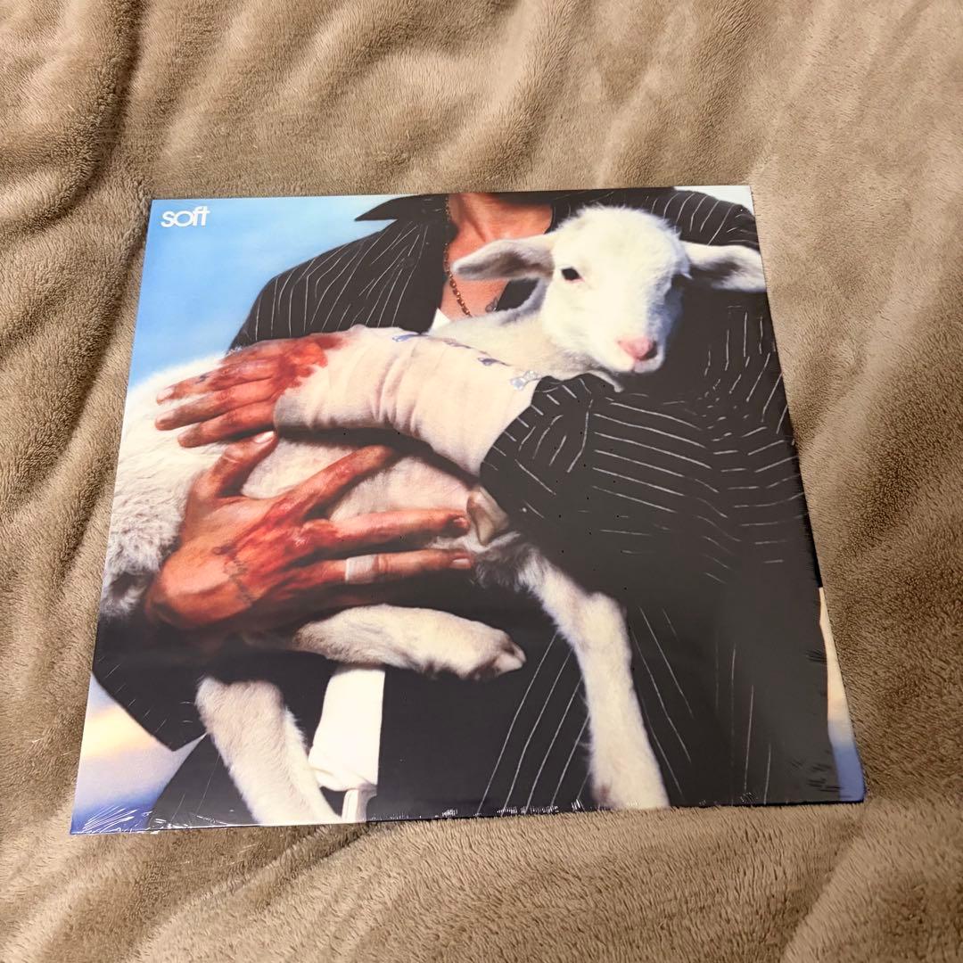 ✨新品未使用シュリンク付✨LANY soft レコード