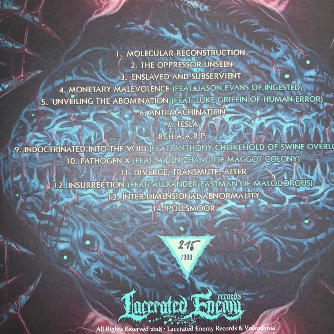 Vulvodynia / Cognizant Castigation 限定盤