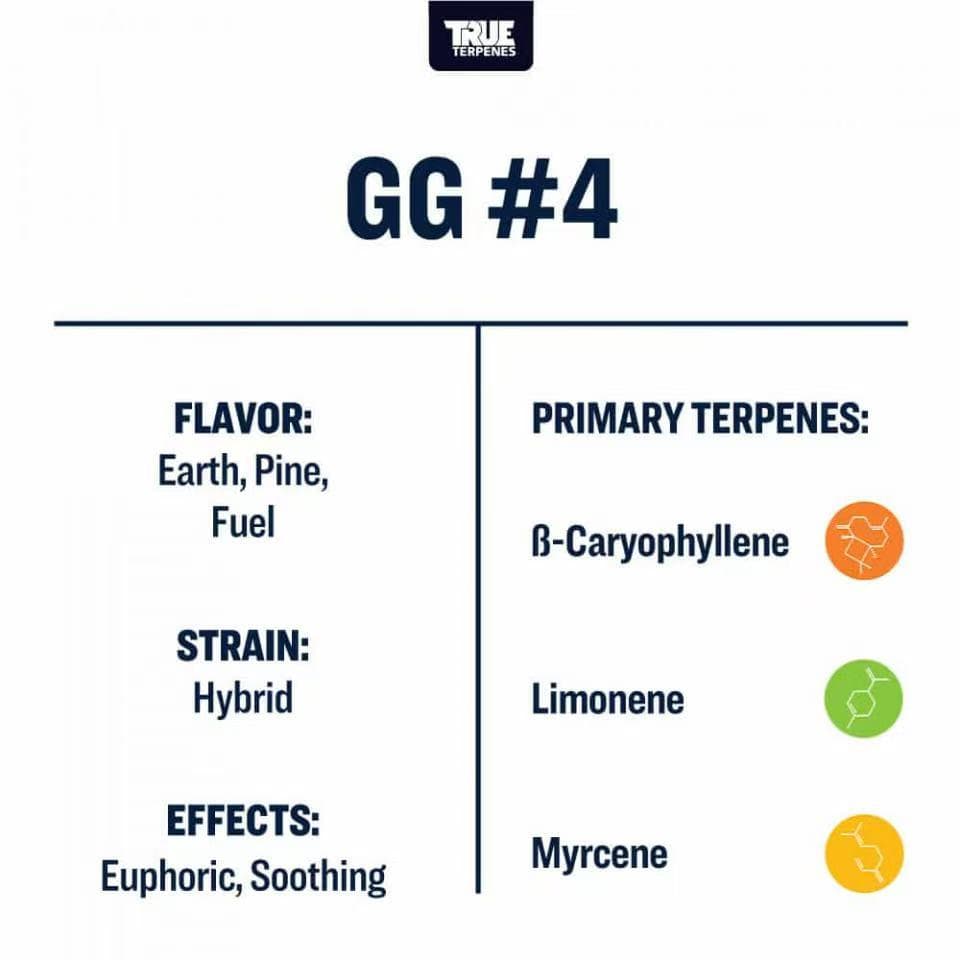 TRUE テルペン 香料 CBD CBN CBG 10ml ゴリラグルー