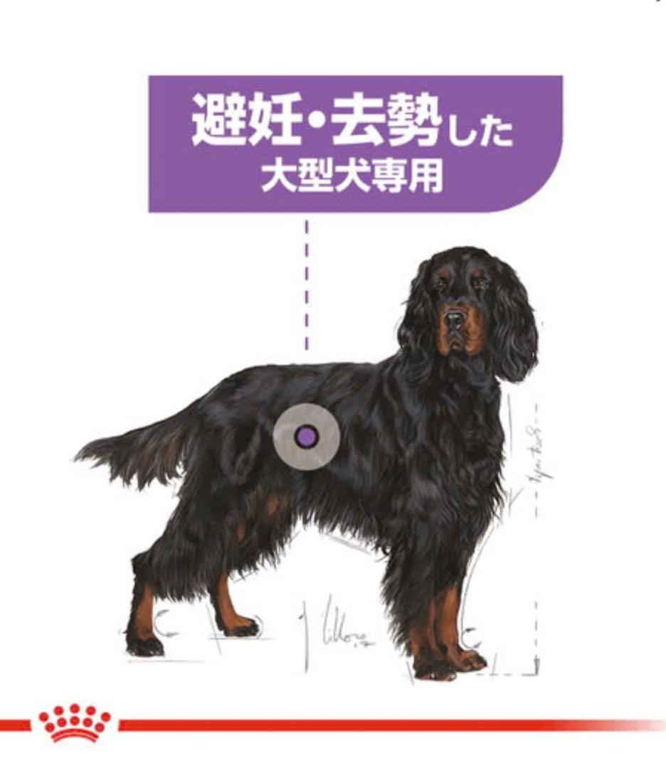  CANIN マキシステアライズド 12kg