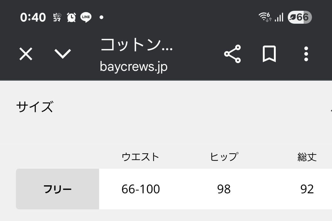 ジャーナルスタンダードレリューム　コットンボイルクリンクルティアードスカート