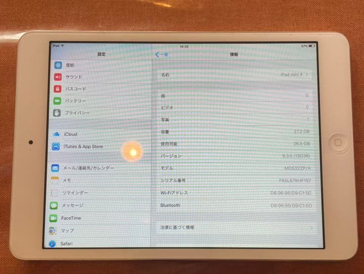 その他ノートPC本体 iPad mini 132GB