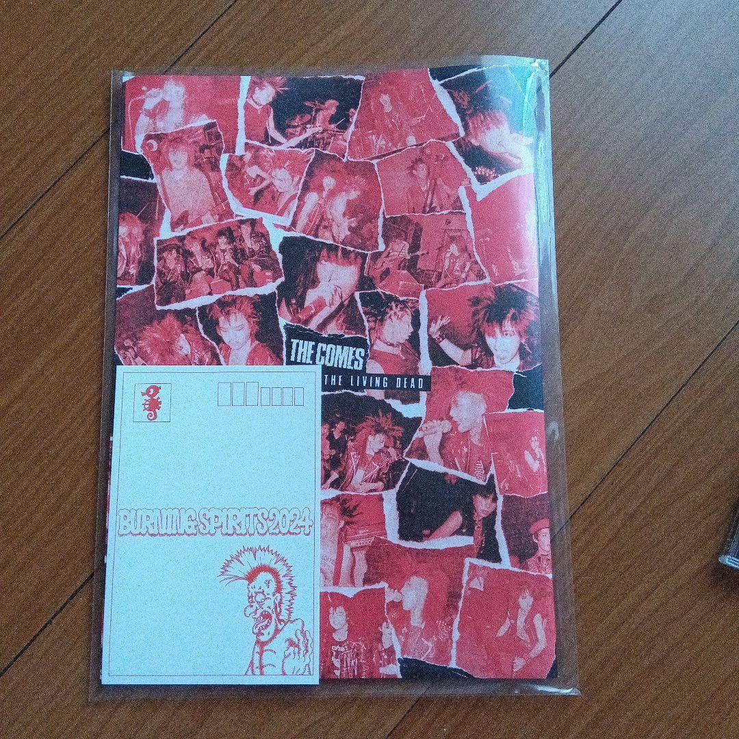 邦楽 THE COMES ballroom of the living dead CD