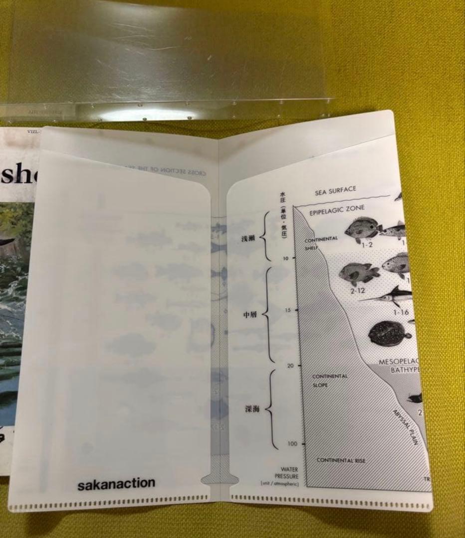 サカナクション　魚図鑑　2CD1DVD チケットホルダー付き