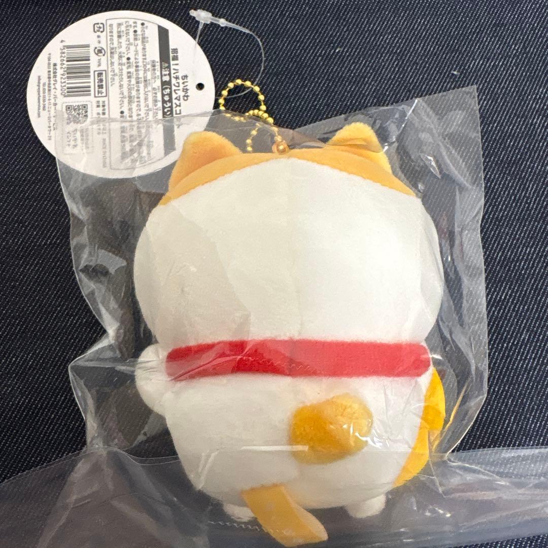ちいかわ 招福！ハチワレ ぬいぐるみ＆マスコット セット