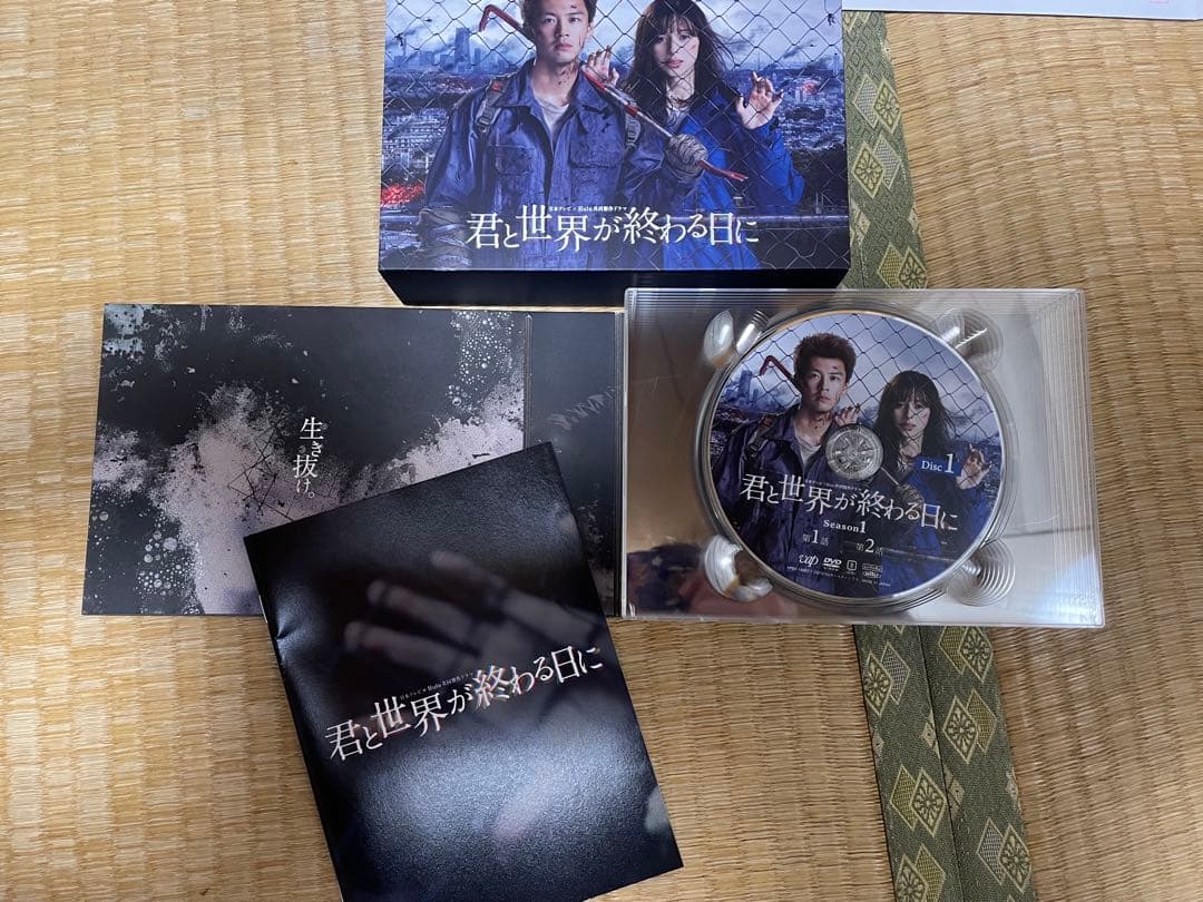君と世界が終わる日に dvd