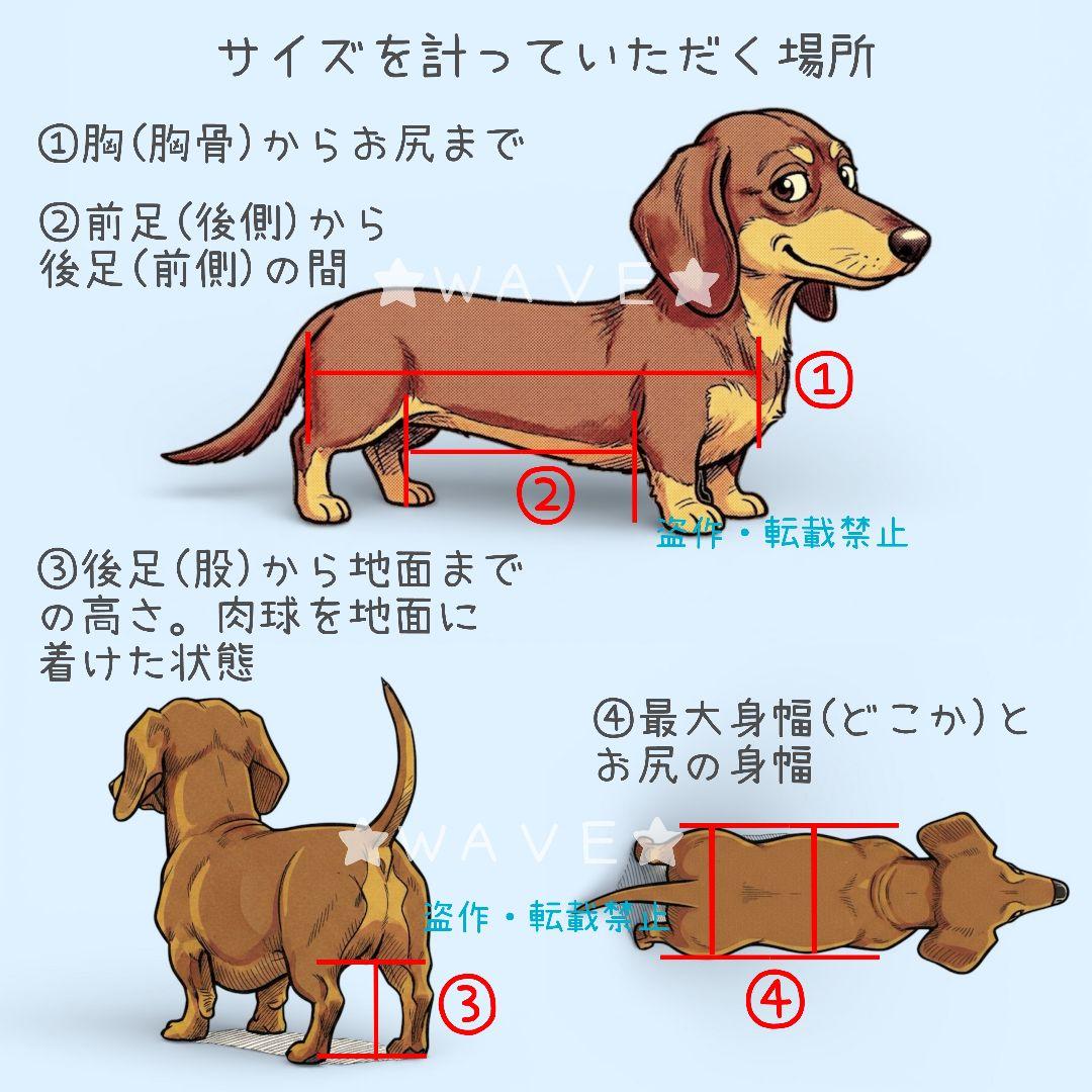 ティファニー♡　犬用車椅子　犬の歩行器　ミニピン　犬の車いす　歩行補助