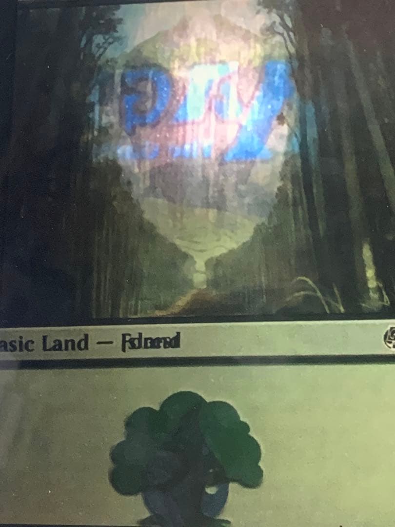 MTG エラーカード　1枚　島　森　メルカリ限定出品