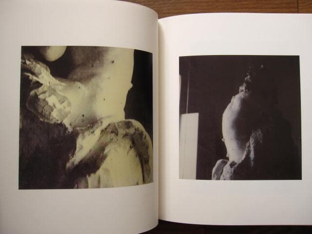 サイ・トゥオンブリーの写真 変奏のリリシズム　Cy Twombly