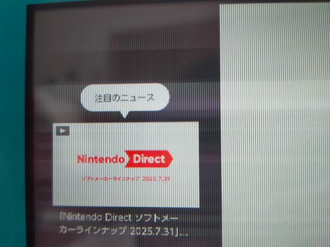 【ジャンク】Nintendo Switch Lite ターコイズ 本体 ケース付