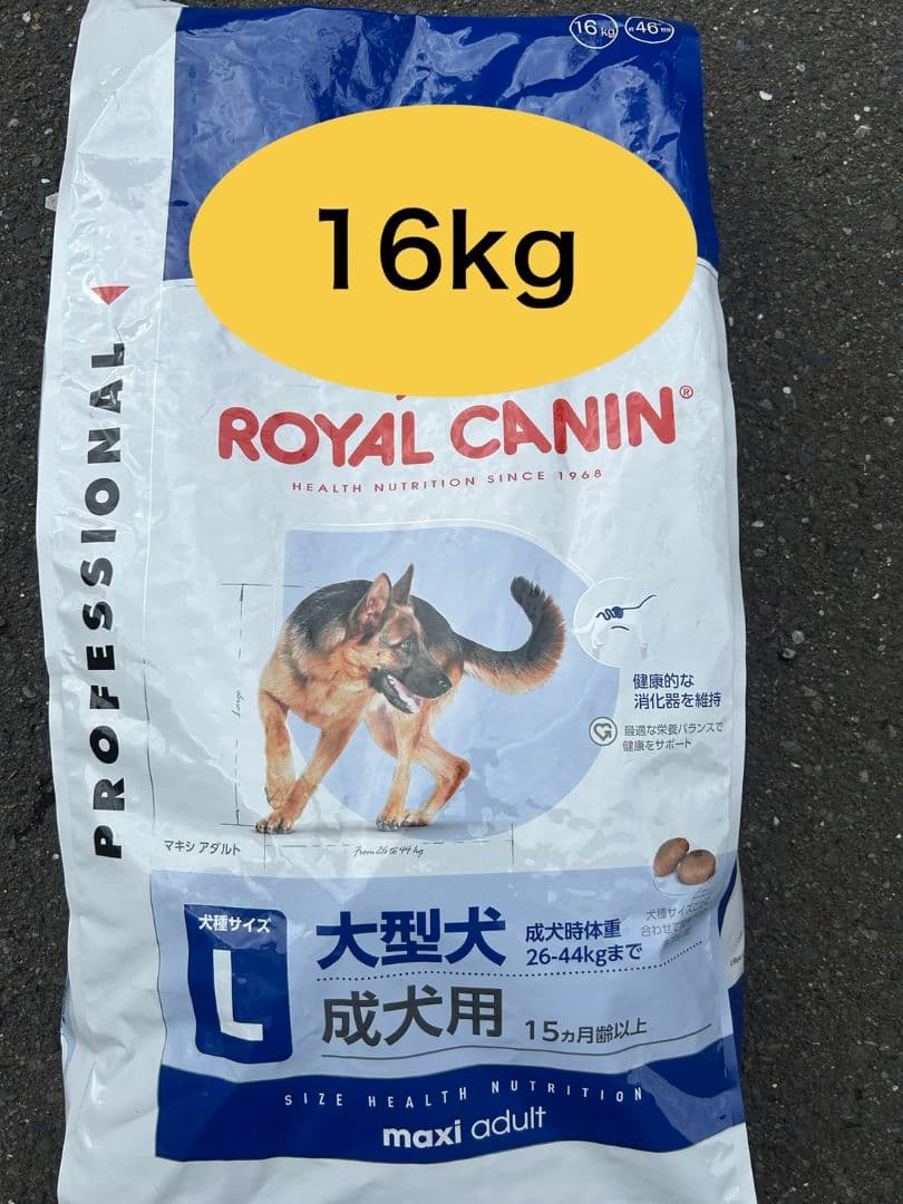  CANIN マキシアダルト　 ドライフード 16kg