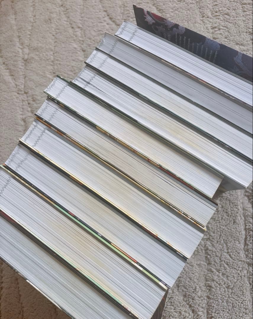 二哈和他的白猫师尊 英版書籍　10巻セット　値引きバラ売不可
